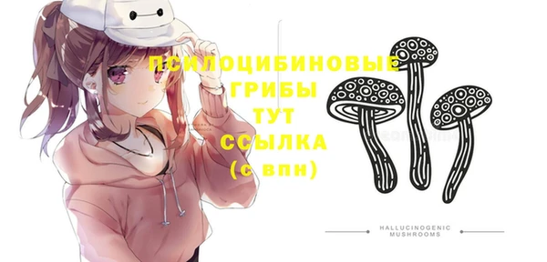 гашик Абдулино