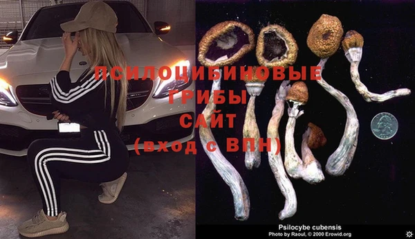 марки lsd Абаза